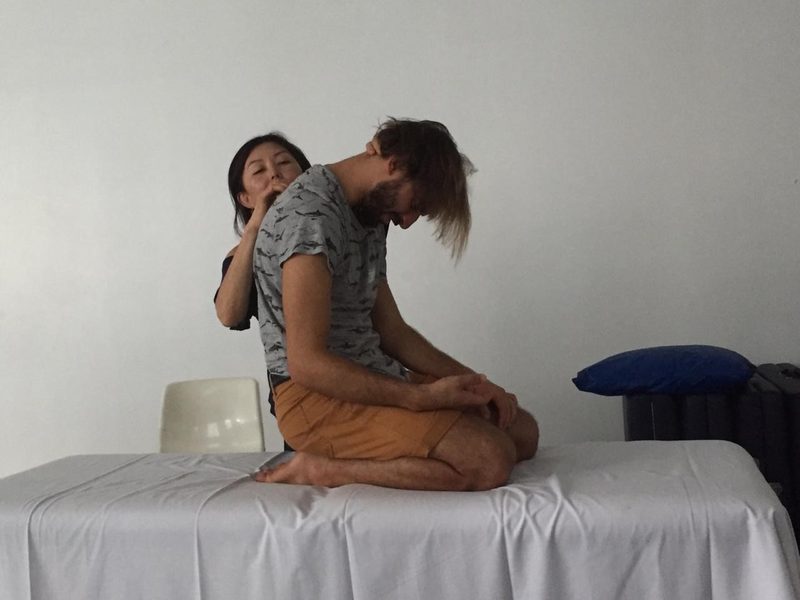 Curso Toque Integrativo Somato Emocional® – T.I.S.E.® · 2018